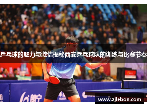 乒乓球的魅力与激情揭秘西安乒乓球队的训练与比赛节奏