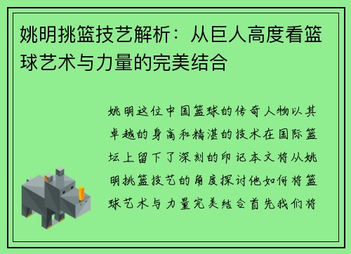 姚明挑篮技艺解析：从巨人高度看篮球艺术与力量的完美结合